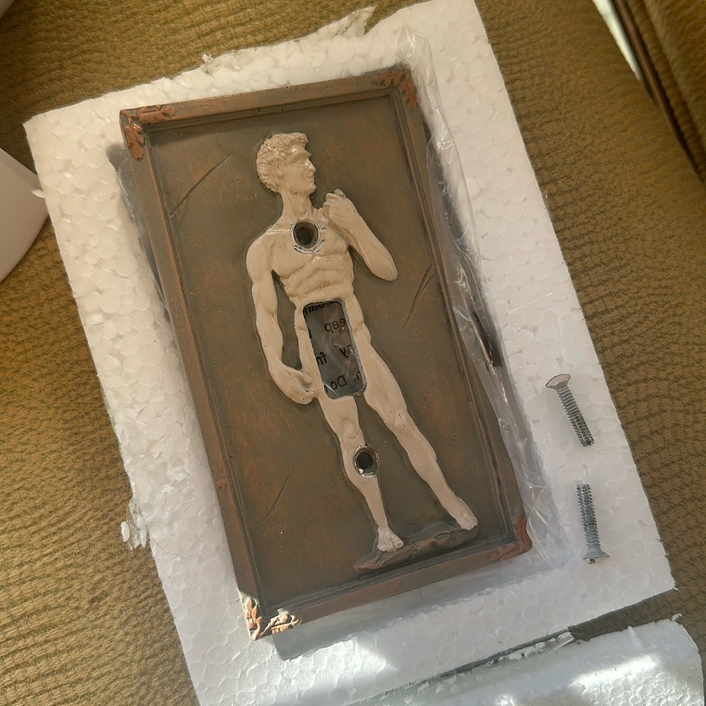 Statue of David Light Switch Cover